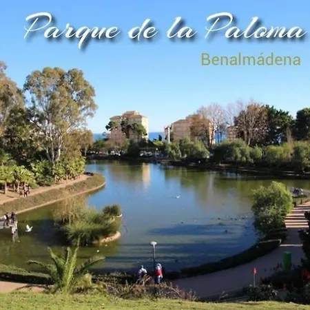 Apartment 797 Holiday Rentals- Acogedor Apartamento En El Centro De *