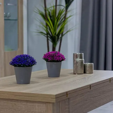 797 Holiday Rentals- Acogedor Apartamento En El Centro De Apartment *
